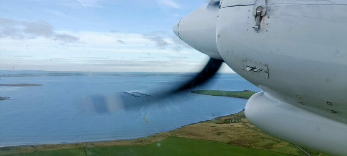 Island Depopulation: Can a small island like North Ronaldsay turn the tides? 13