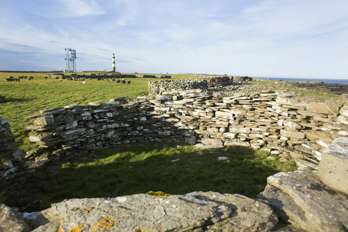 Island Depopulation: Can a small island like North Ronaldsay turn the tides? 8