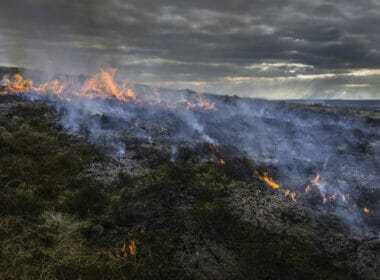 Muirburn needs to be licenced whether on grouse moors or not, critics say 1