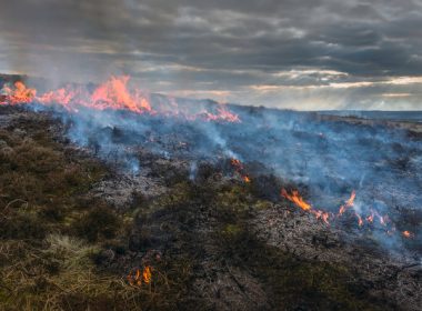Muirburn needs to be licenced whether on grouse moors or not, critics say 5