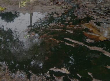 Shell oil spill nigeria