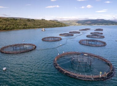 Salmon farm firm fined £800,000 after employee drowned 1