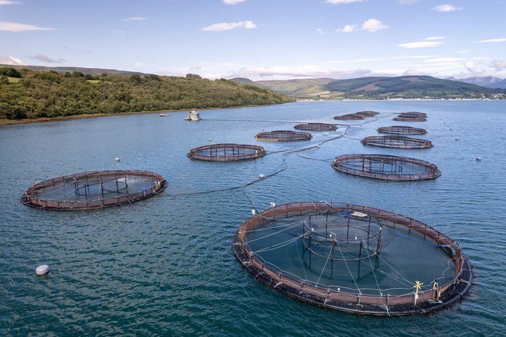 Salmon farm firm fined £800,000 after employee drowned 5