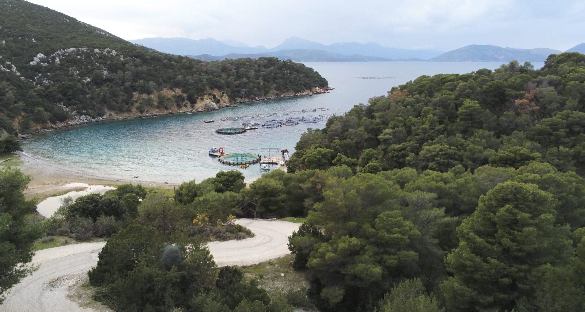 Greek island of Poros threatened by industrial fish farming, say locals 7