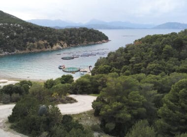Greek island of Poros threatened by industrial fish farming, say locals 1