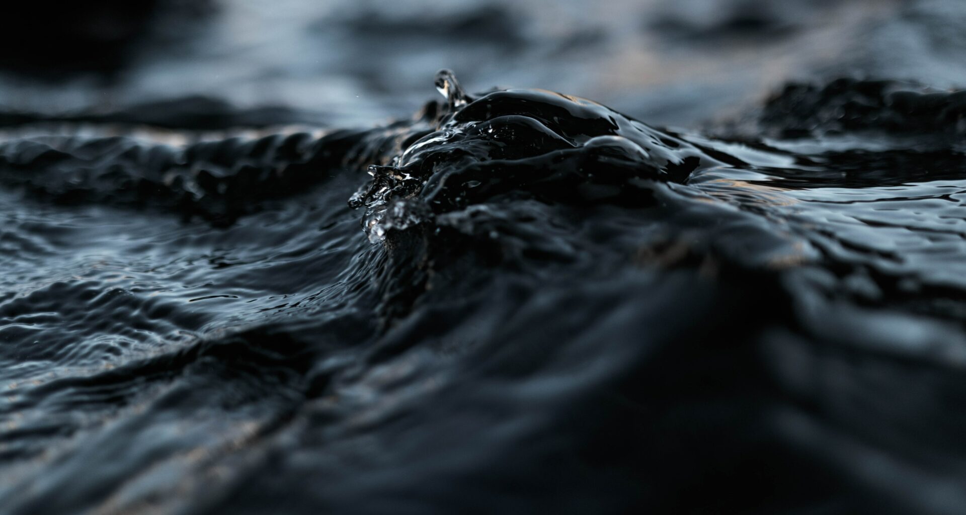 oil spill pollution regulator
