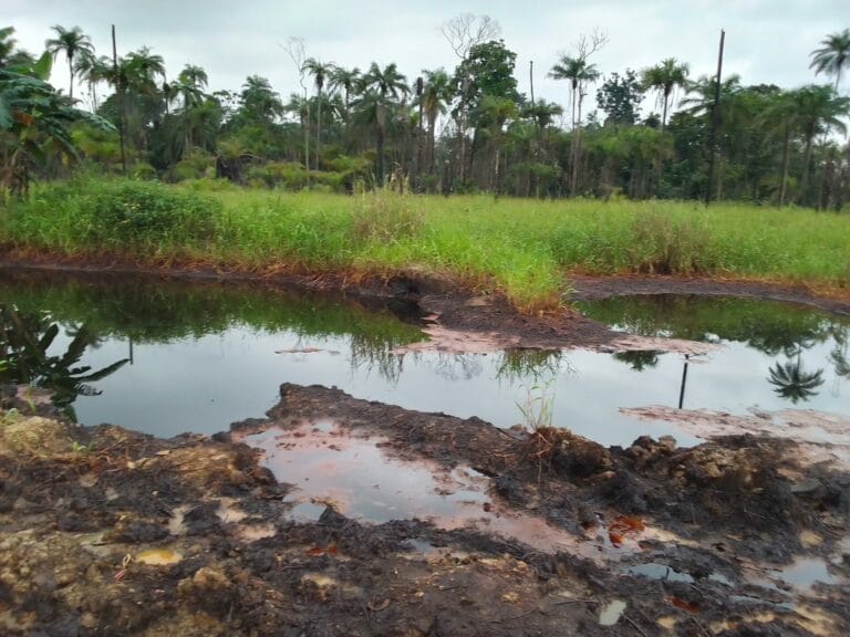 nigeria oil spill eni