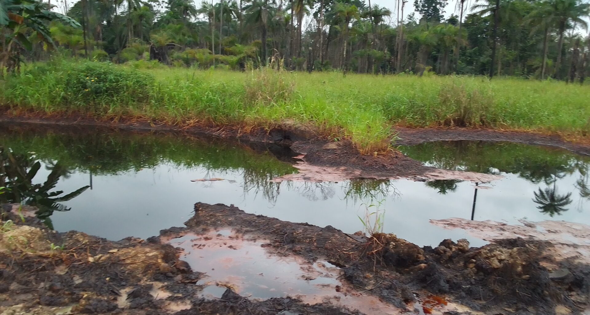 nigeria oil spill eni