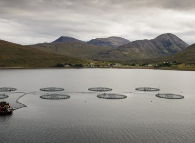 A salmon fish farm in Loch Ainort on the Isle of Skye in the Highlands of Scotland. Foothills of the Cuillin Mountains form the backdrop to the sea loch with an array of circular fish cages.