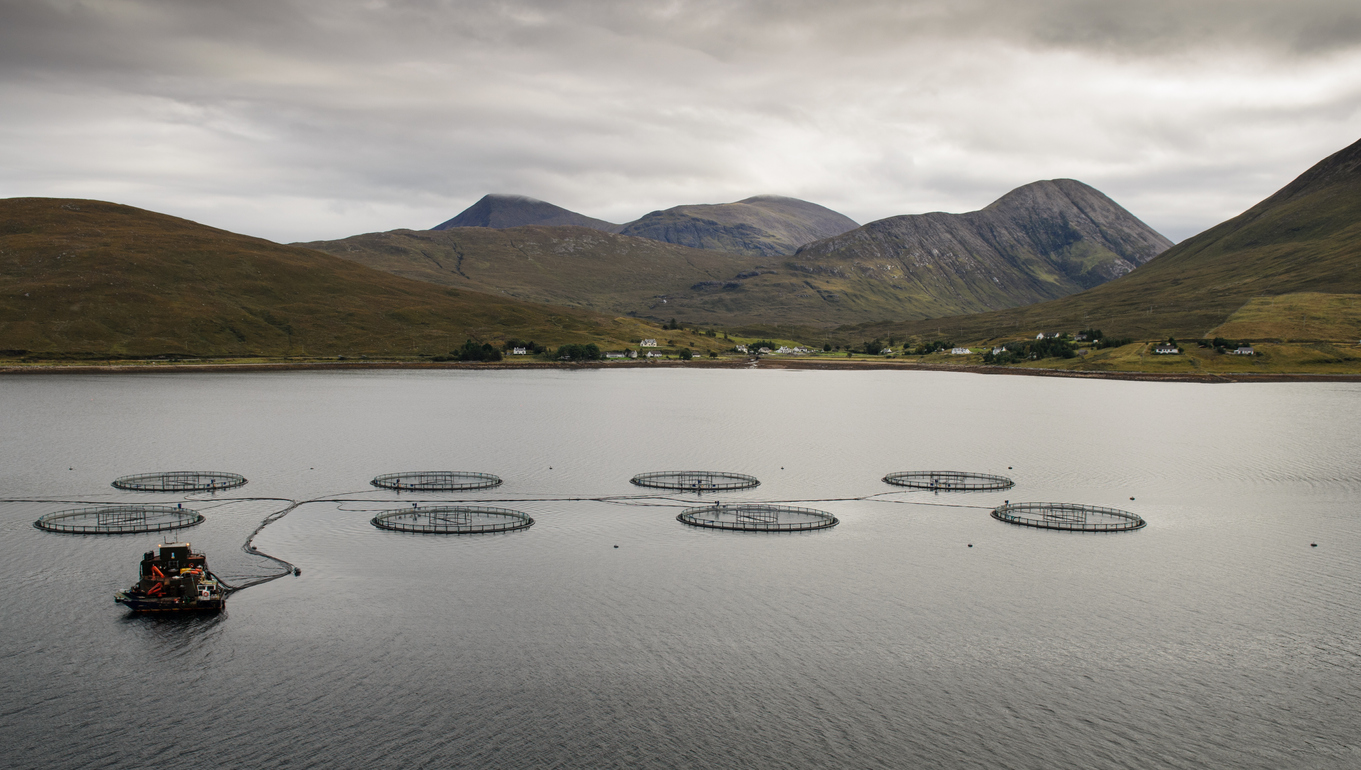 A salmon fish farm in Loch Ainort on the Isle of Skye in the Highlands of Scotland. Foothills of the Cuillin Mountains form the backdrop to the sea loch with an array of circular fish cages.