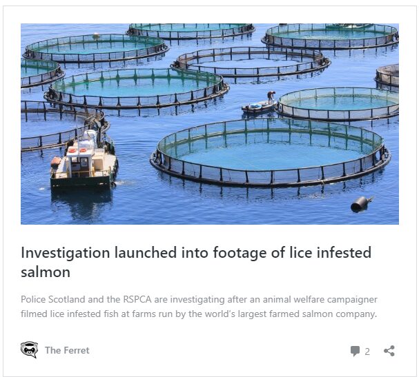 Named: 19 fish farms posing ‘high risk’ to wild salmon 3