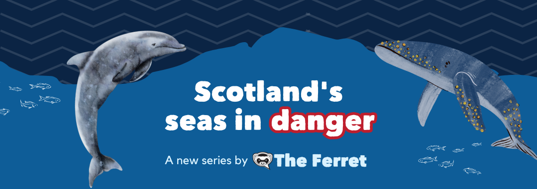 Scotland's seas in danger