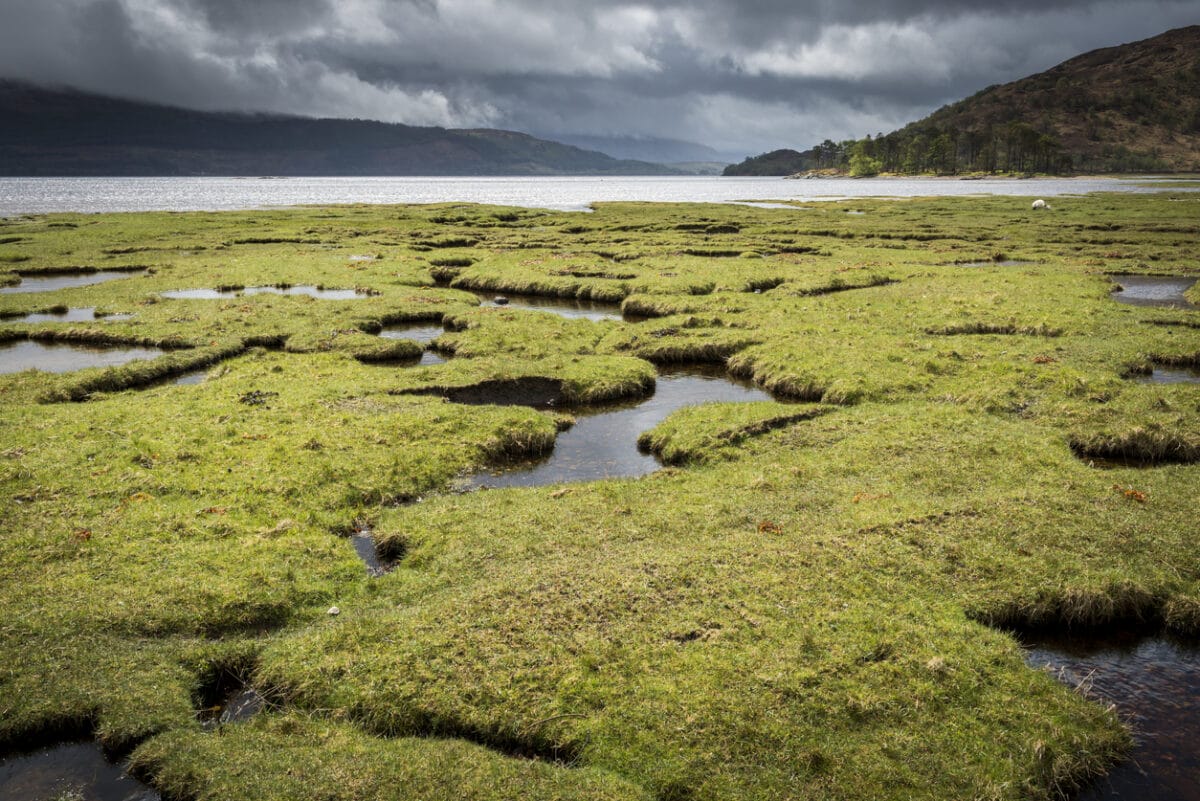 Marine protection: What are the greatest risks to Scotland's habitats? 9