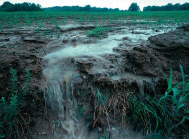 Farming and forestry pollution sees hundreds of waterways downgraded 8